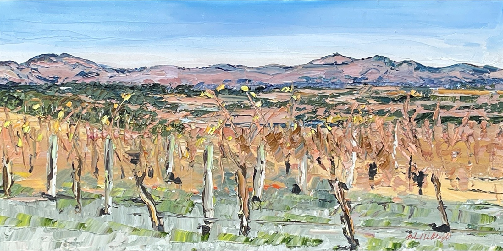 painting of barossa hills and vineyard landscape